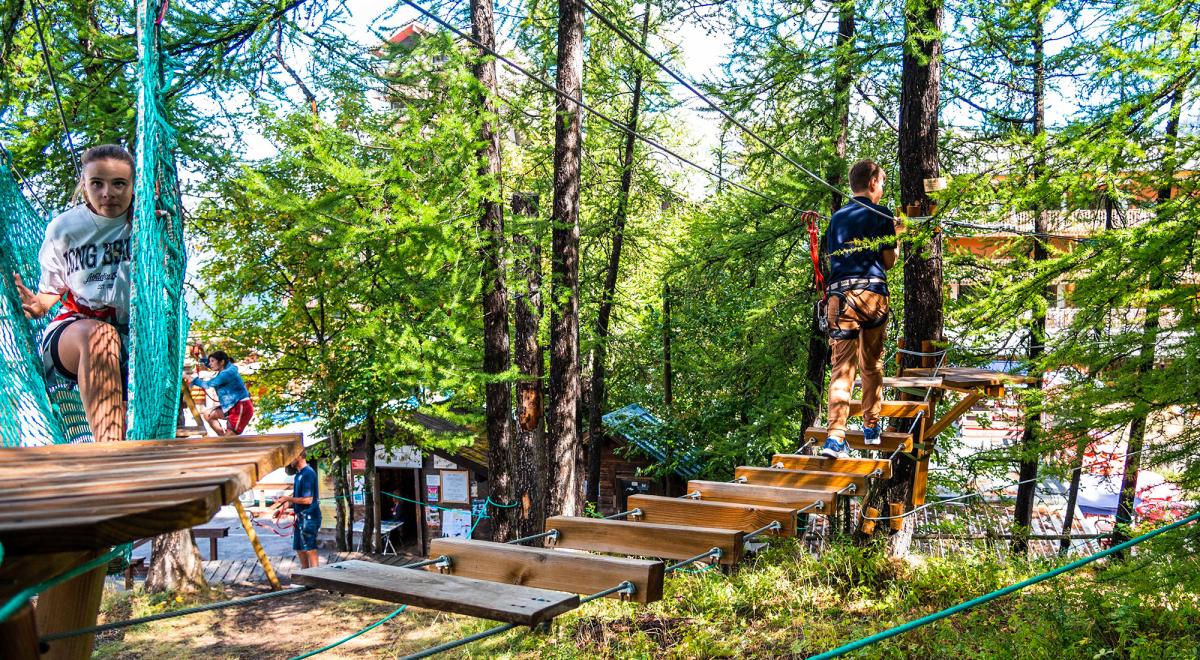 Le Bois du Loup - Le Bois du Loup