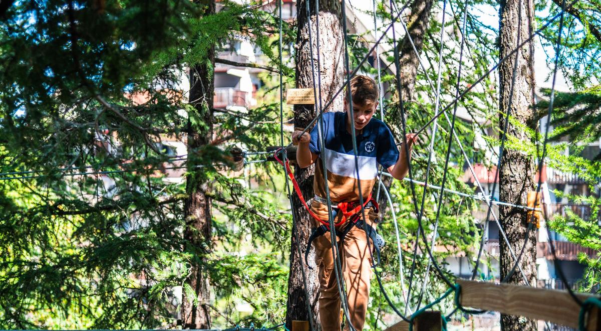 Le Bois du Loup - Le Bois du Loup