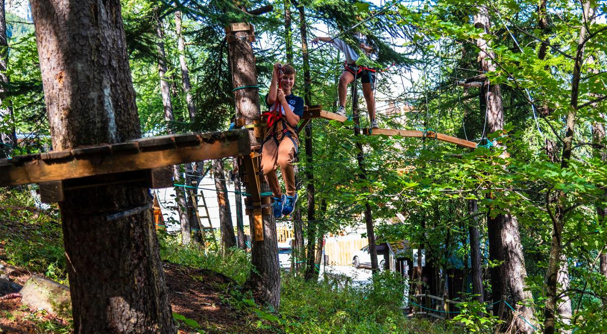 Le Bois du Loup - Le Bois du Loup