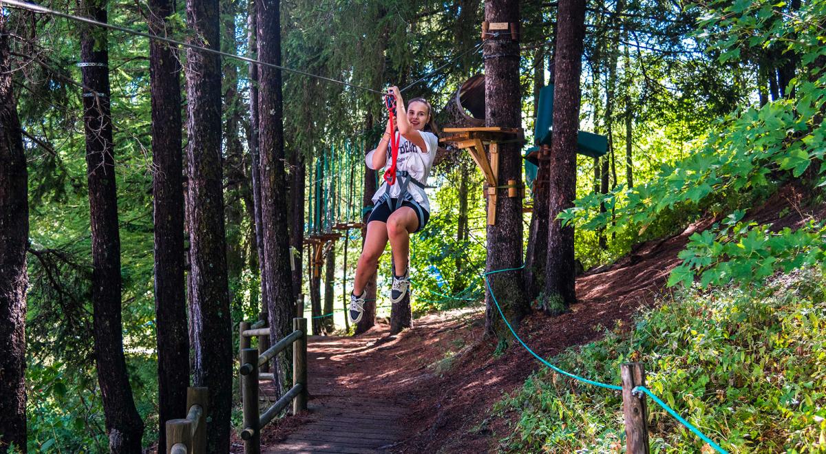 Le Bois du Loup - Le Bois du Loup