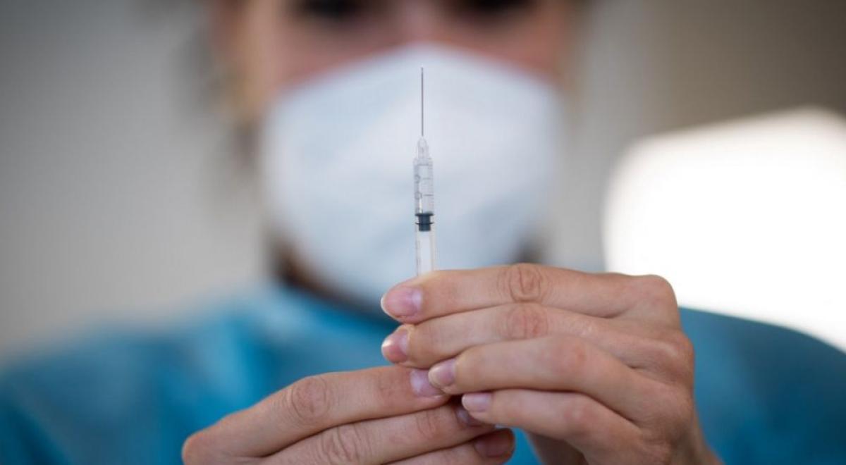 Charlotte D'Isanto - Charlotte D'Isanto