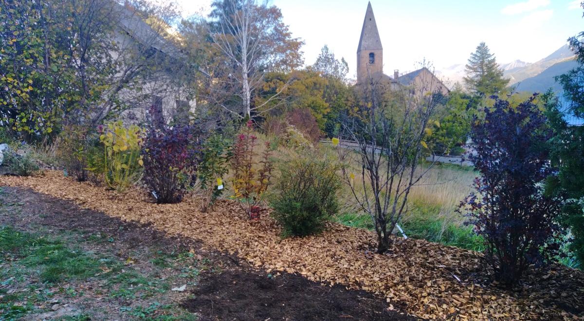 Vincent Dillenseger - Vincent Dillenseger