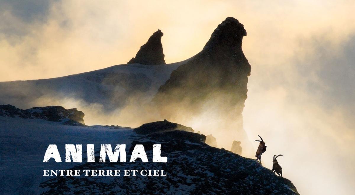 ANIMAL, entre Ciel et Terre - ANIMAL, entre Ciel et Terre