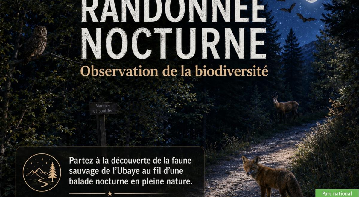 Festival Astro Loup - Randonnée nocturne_Pra Loup 1600 - Randonnée nocturne