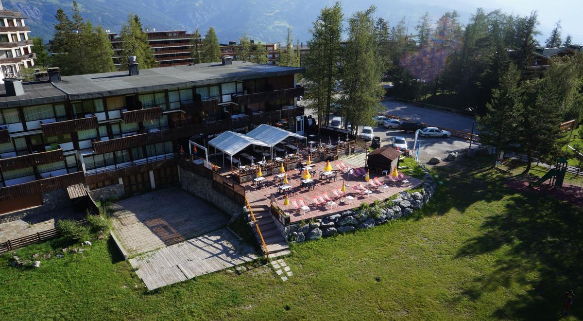 L'Artichouette - L'Artichouette