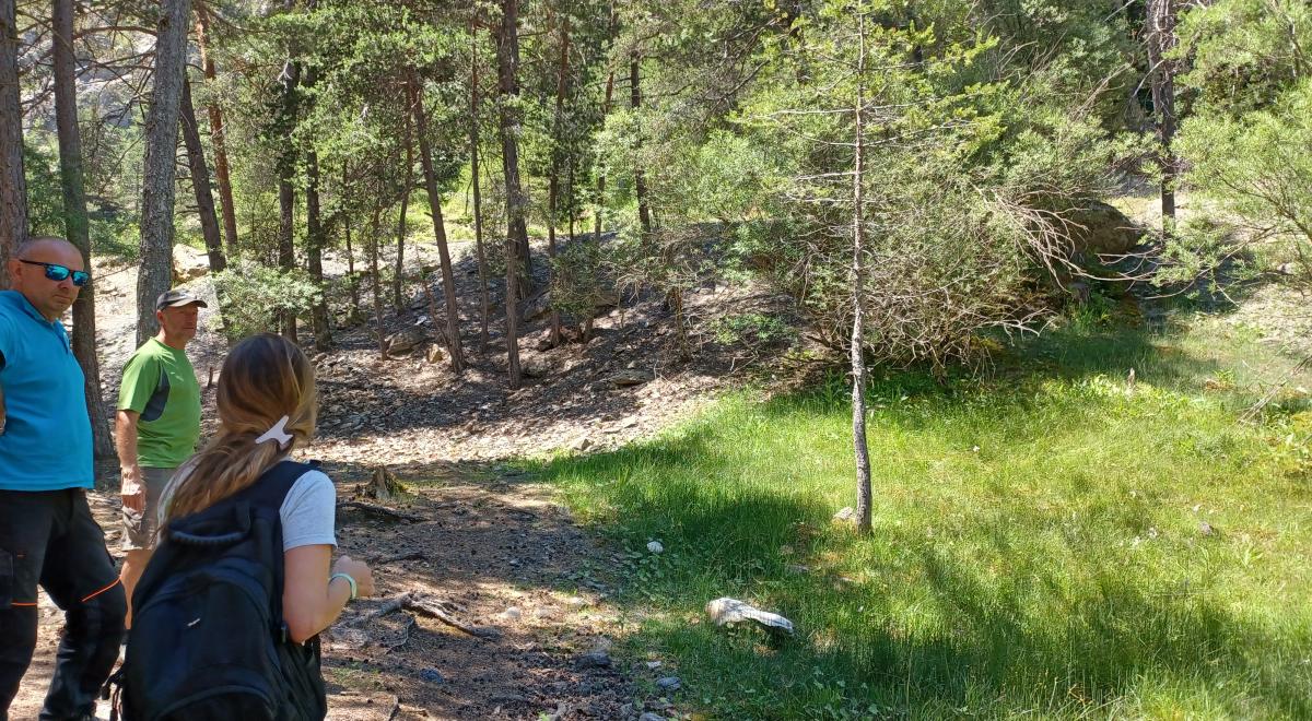 Préservation zone humide Préservation zone humide