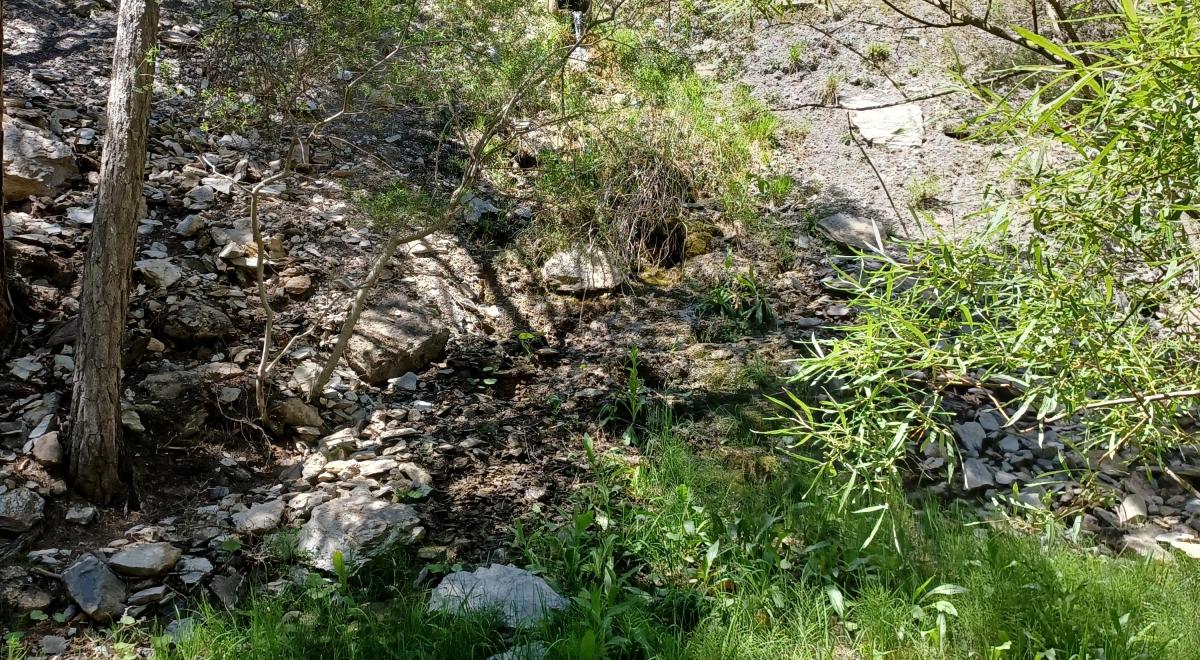 Aménagement buse zone humide Aménagement buse zone humide