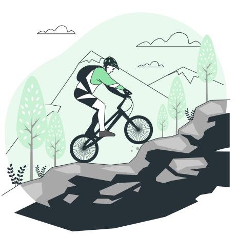 VTT DH