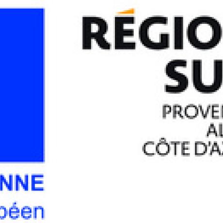 Logo FSE Région sud